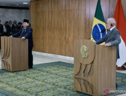 Presiden Prabowo, Presiden Lula dukung Palestina anggota penuh PBB