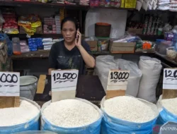 Harga beras medium turun jadi Rp13.657/kg, cabai rawit Rp45.791/kg