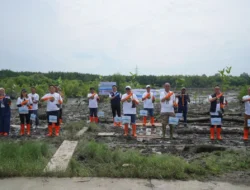 Pelindo Multi Terminal Group Tanam 11.000 Mangrove Bawa Manfaat Bagi Masyarakat
