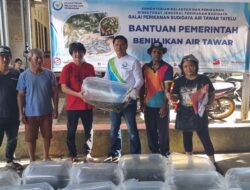 KKP Salurkan 21 Juta Ekor Benih Ikan Geliatkan Perikanan Budi Daya di Sulawesi Utara