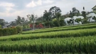 Foto: Istimewa