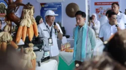 Wakil Presiden Gibran Rakabuming Raka menanam jagung di Bantar Panjang, Tigaraksa, Kabupaten Tangerang/JURNALOKA/dok. tangerangkab.go.id)