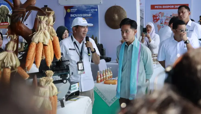 Wakil Presiden Gibran Rakabuming Raka menanam jagung di Bantar Panjang, Tigaraksa, Kabupaten Tangerang/JURNALOKA/dok. tangerangkab.go.id)