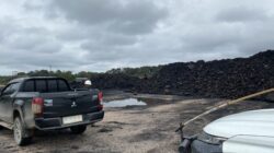 Marsinah, Ikon Buruh Pertama Sandang Pahlawan Nasional: Pengakuan Negara Tiga Dekade Setelah Kematian Tragis