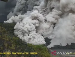 Semeru Erupsi, BPBD Lumajang Kerahkan TRC, Akses Jembatan Gladak Perak Lumpuh Diterjang Awan Panas 10 KM