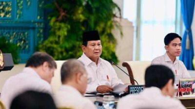 Presiden Prabowo Perintahkan Audit Total PT Toba Pulp Lestari (TPL) Terkait Bencana Sumut