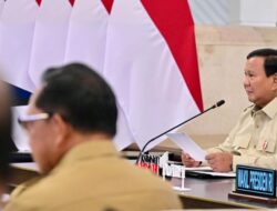 Masa Depan RI Ada di Pasifik: Velix Wanggai Serahkan Peta Jalan Papua ke Presiden Prabowo